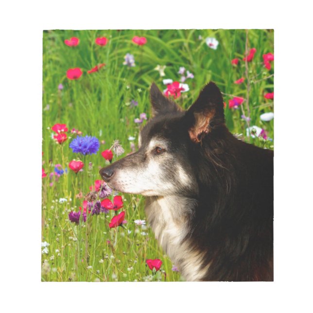 Bloco De Notas Namorados Border Collie com belas flores (Frente)