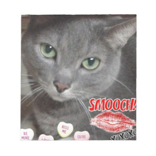 Bloco De Notas Namorados Russo Blue Cat