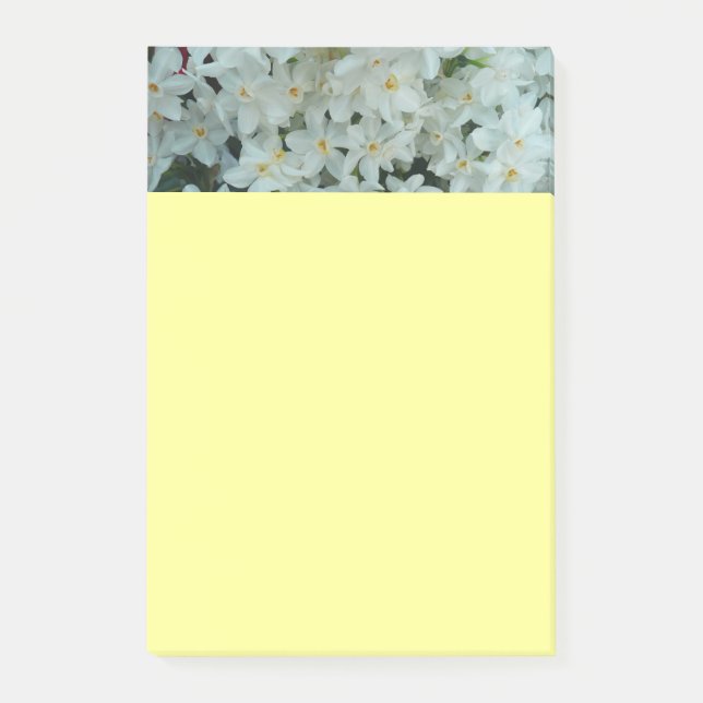 Bloco De Notas Narciso Branco Delicado de Paperwhite Flores (Frente)