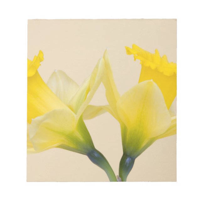 Bloco De Notas Narcisos amarelos (Frente)