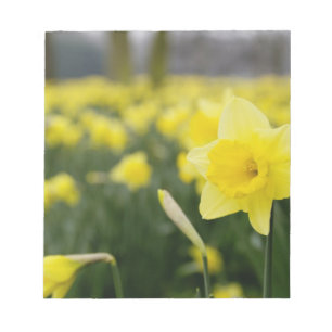 Bloco De Notas Narcisos (RF)