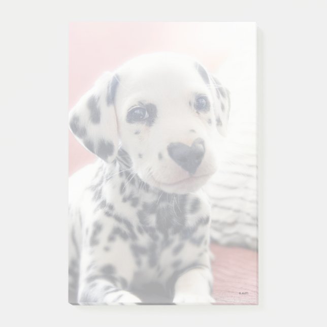 Bloco De Notas Nariz de Coração Dalmata (Frente)