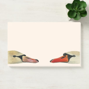 Bloco De Notas Natureza As muitas faces de um cisne