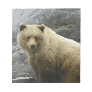 Bloco De Notas Natureza do destino dos animais de Alaska do urso