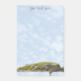 Bloco De Notas Natureza Fotografia Enorme Gator Panorâmica Cortad