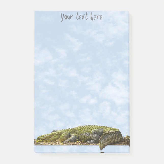 Bloco De Notas Natureza Fotografia Enorme Gator Panorâmica Cortad (Frente)