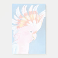 Neon Mohawk - Cockatoo Rosa