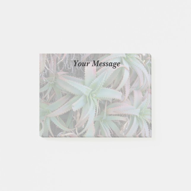 Bloco De Notas Nevada suculenta (Frente)