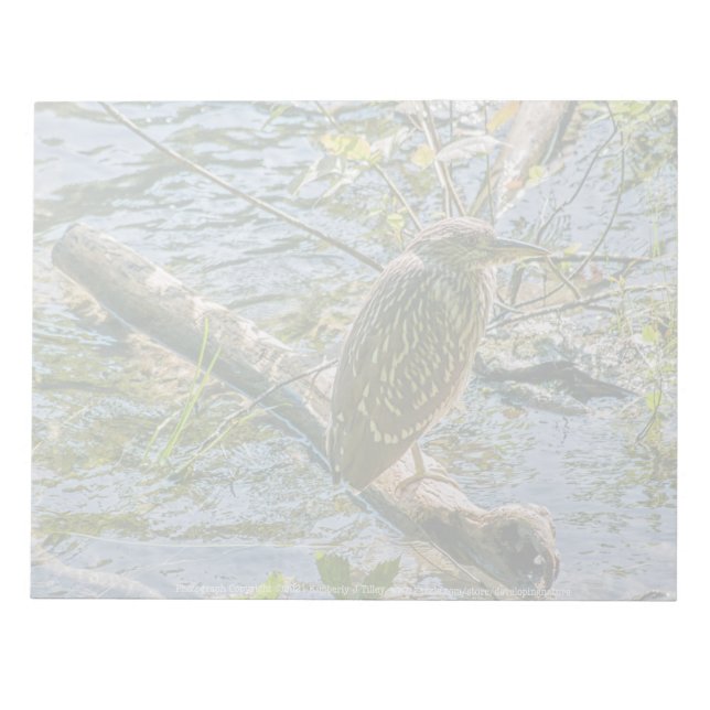 Bloco De Notas Night Heron jv (Frente)