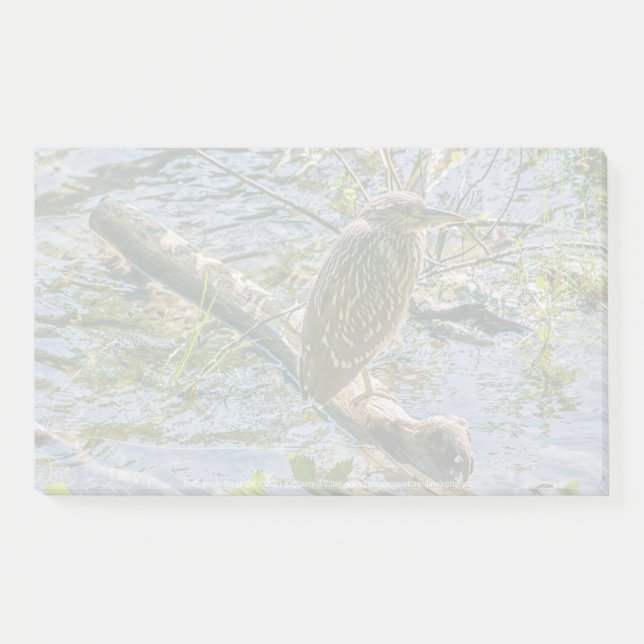 Bloco De Notas Night Heron jv (Frente)