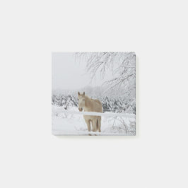 Bloco De Notas nota de post-it do cavalo