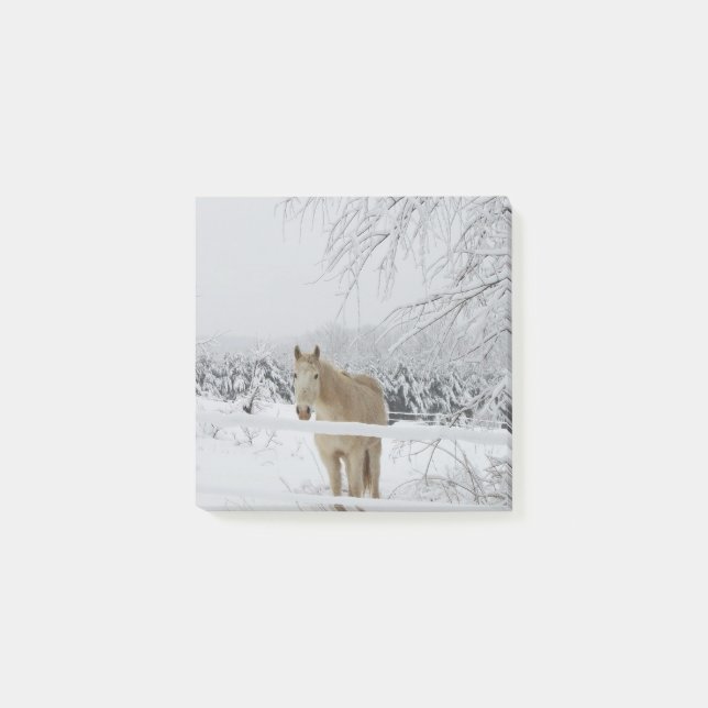 Bloco De Notas nota de post-it do cavalo (Frente)