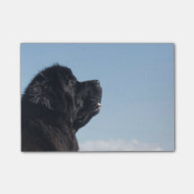 Nota de post-it pensativa de Inka