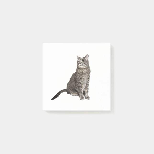 Bloco De Notas Notas Adhesivas de Gato Abissínio (Frente)