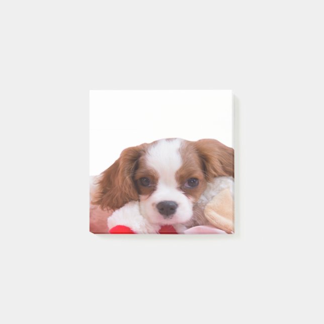 Bloco De Notas Notas Adhesivas do Cachorro Cavalier King Charles  (Frente)