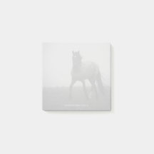 Notas Blue Roan Mist - 3" x 3"