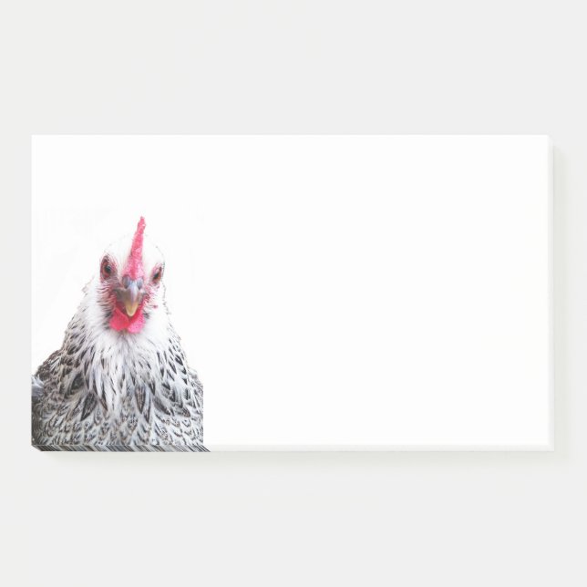 Bloco De Notas Notas de Foto 10x6 do Bantam Cochin Hen (Frente)