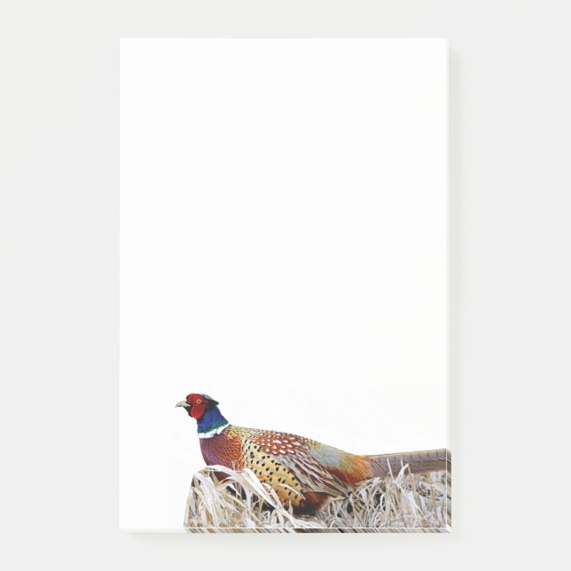 Bloco De Notas Notas de Foto de Fêrencia com pescoço Ring 4x6 (Frente)