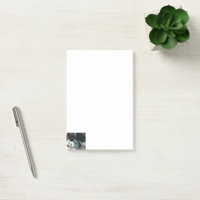 Bloco De Notas Notas de gatinho de gato  (Escritótio)