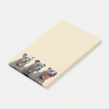 Notas de Personalidades Pitbull