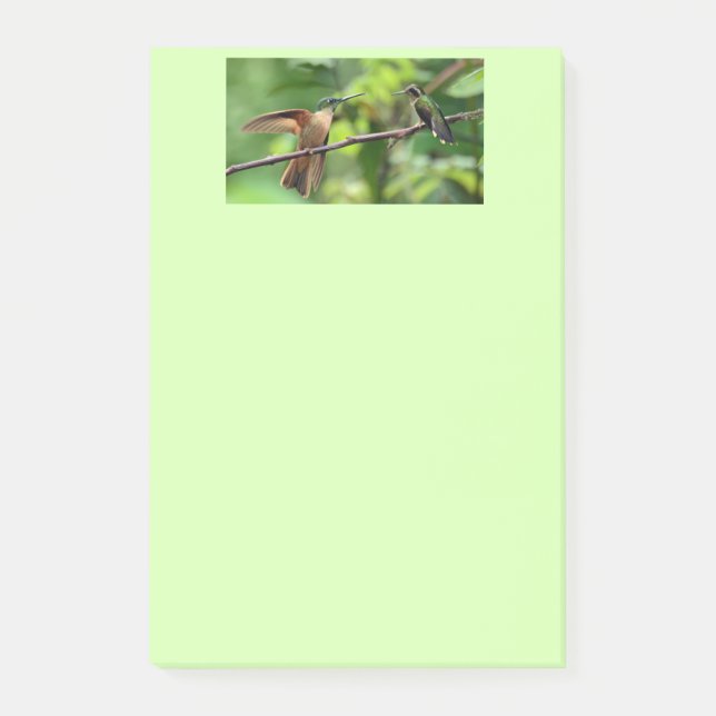 Bloco De Notas Notas de post-it do colibri (Frente)