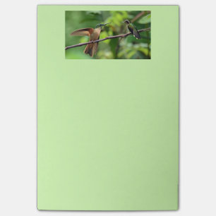 Bloco De Notas Notas de post-it do colibri
