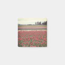 Notas de post-it do festival da tulipa