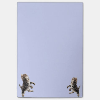 Bloco De Notas Notas de post-it do gatinho