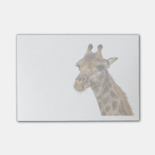 Bloco De Notas Notas de post-it do girafa