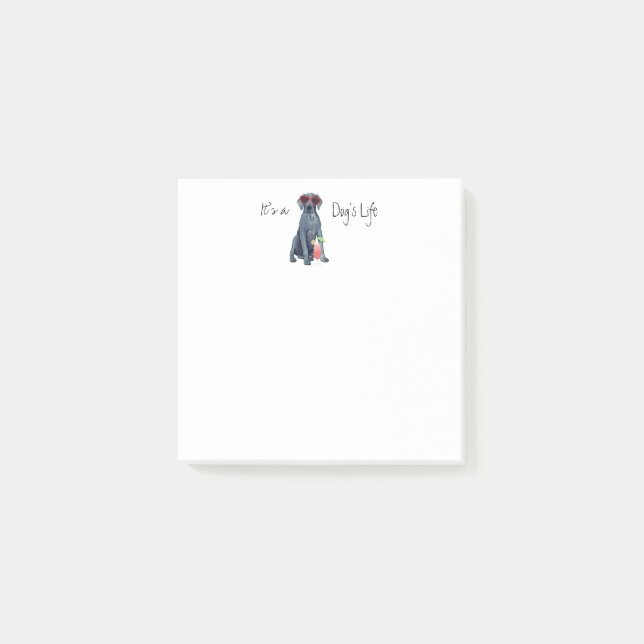 Bloco De Notas Notas de Poste da Summer Great Dane (Frente)