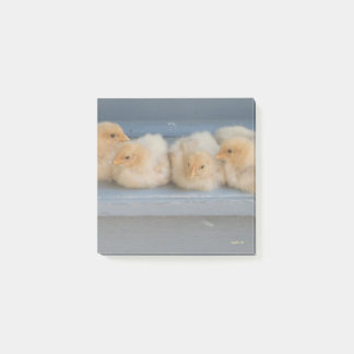 Bloco De Notas Notas de posto