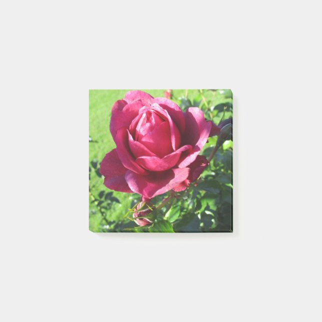 Bloco De Notas Notas de posto (Frente)