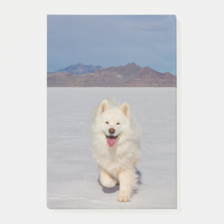 Bloco De Notas Notas de Posto de 4"x6" - Apartamentos de sal