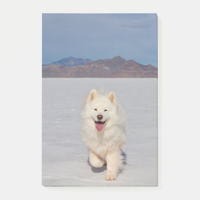 Bloco De Notas Notas de Posto de 4"x6" - Apartamentos de sal (Frente)