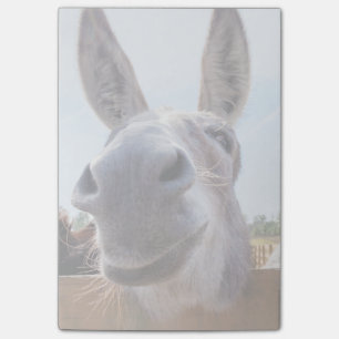 Bloco De Notas Notas de Posto de Donkey sorridentes