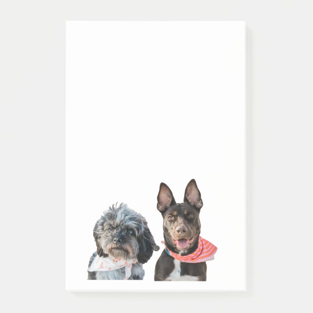 Bloco De Notas Notas de POSTO de FOTO PERSONALIZADAS (Frente)