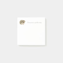 Notas de Posto de Objetivos Diários - Hedgehog