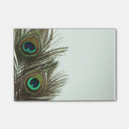 Bloco De Notas Notas de Posto de Penas de Peacock
