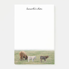 Bloco De Notas Notas de Posto de Vaca do Highland