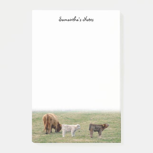 Bloco De Notas Notas de Posto de Vaca do Highland (Frente)