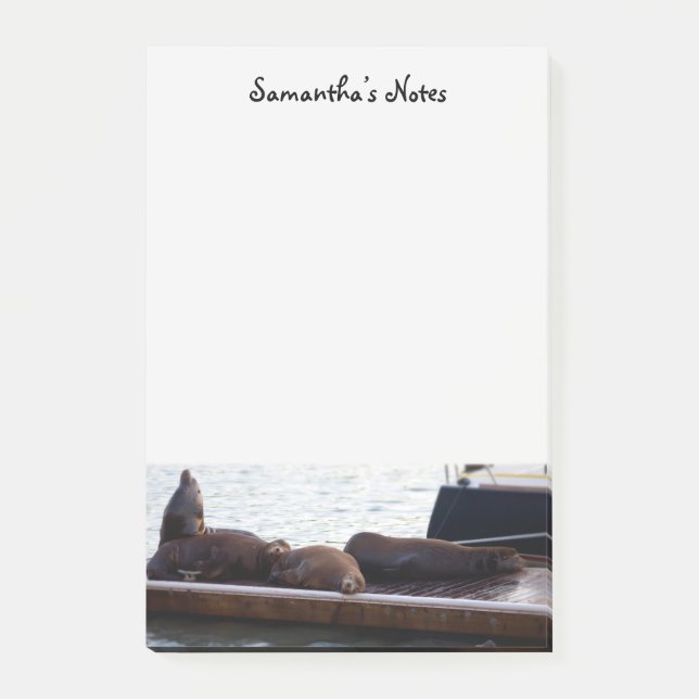Bloco De Notas Notas de Posto do Sea Lions (Frente)