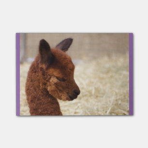 Bloco De Notas Notas do Cargo-it® da alpaca