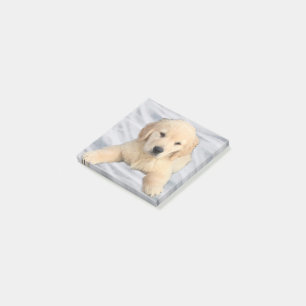Bloco De Notas Notas do Ouro Retriever Puppy Poste