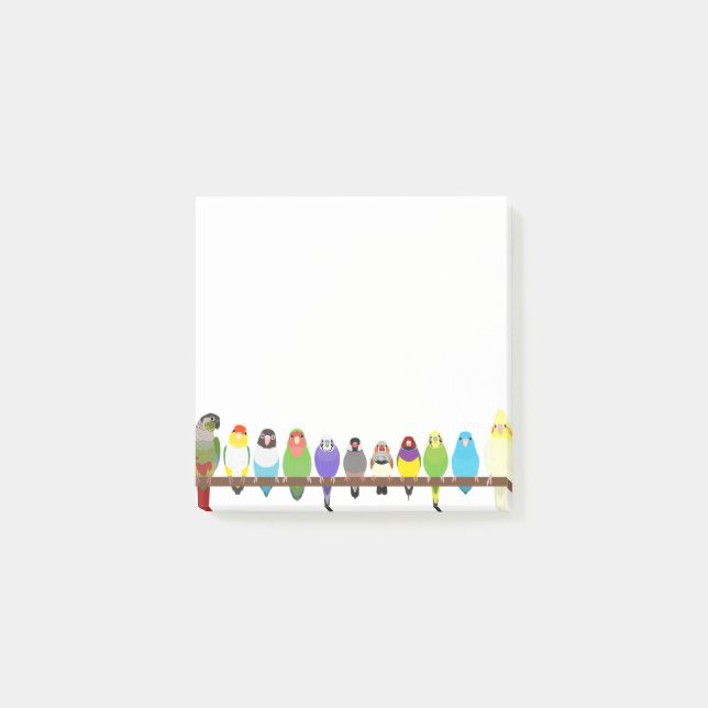 Bloco De Notas Notas do Parrot Sticky (Frente)