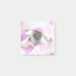 Bloco De Notas Notas Do Posto Do Nariz Do Cão