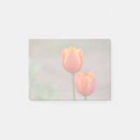 Notas do Tulip Sticky