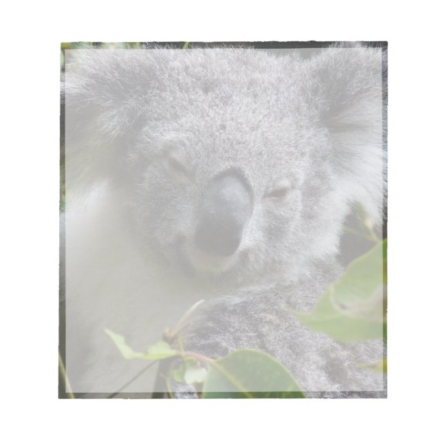 Bloco De Notas notas koala (Frente)