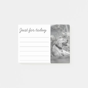 BLOCO DE NOTAS NOTAS POSTADAS DE RELEXÃO DE CACHORRO DE LABRADOR