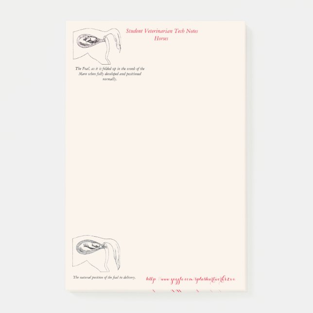Bloco De Notas "Notas veterinárias da tecnologia " (Frente)