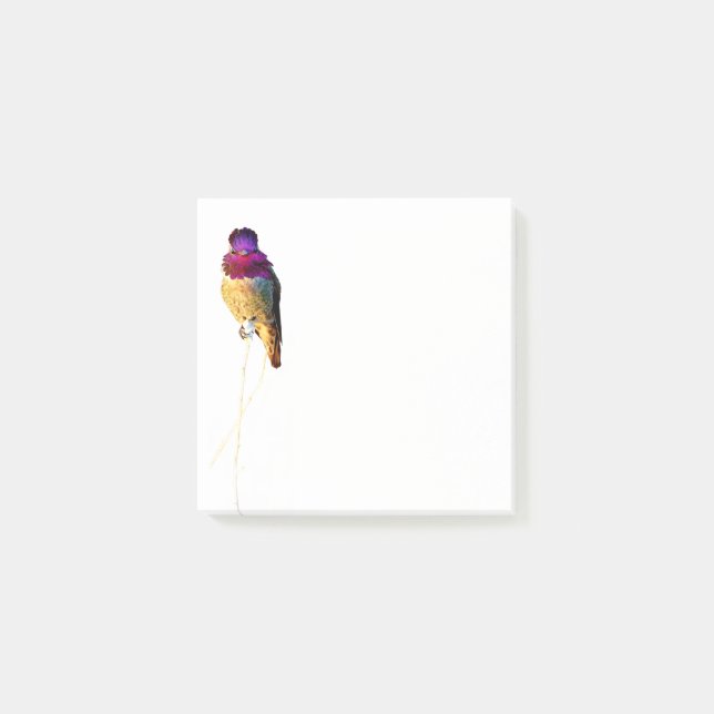 Bloco De Notas Notepad 3x3 do Hummingbird de Anna (Frente)